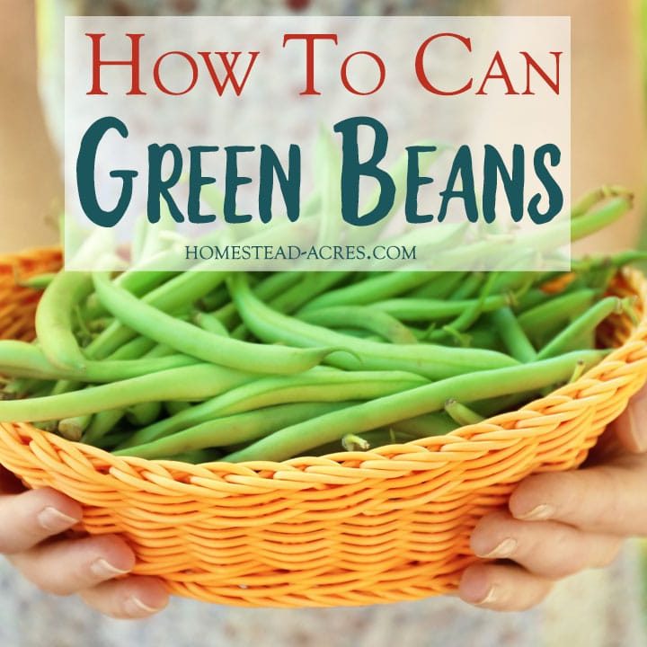 How To Can Green Beans Homestead Acres How To Can Green Beans Homestead Acres