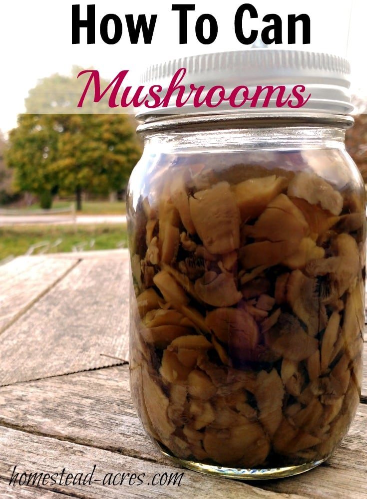 How To Can Mushrooms Homestead Acres