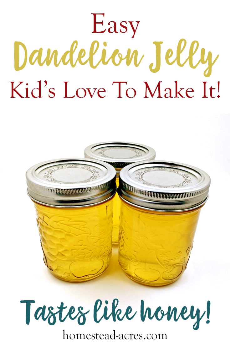 How To Make Dandelion Jelly Homestead Acres
