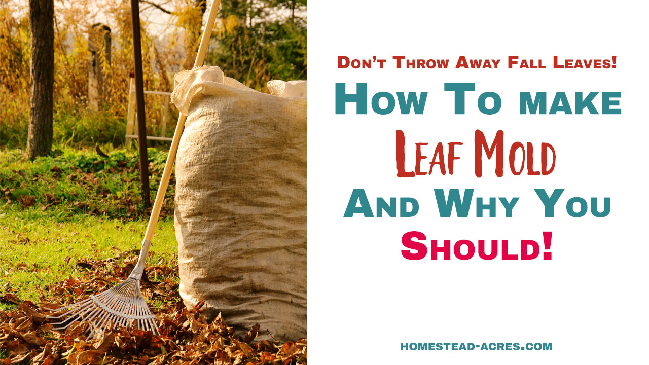 How To Make Leaf Mold Compost And Tips For Using It Homestead Acres