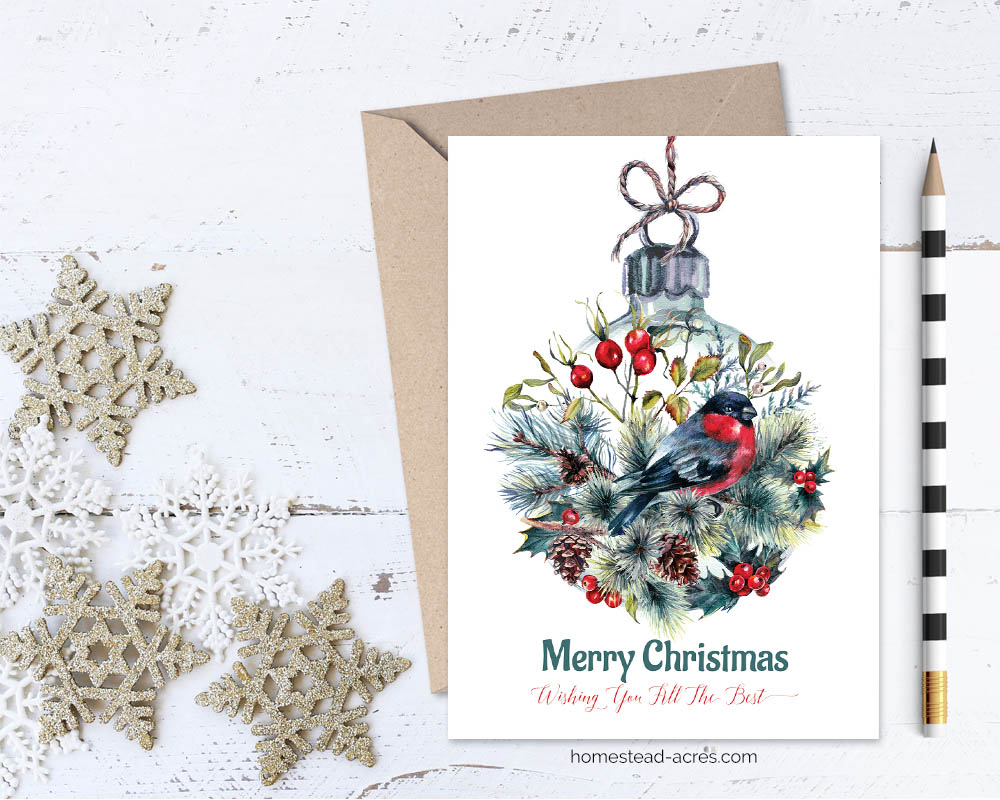 Printable Xmas Card: Finch Ornament Merry Xmas image relating to Printable Photo Christmas Card known as Printable Xmas Card: Finch Ornament Merry Xmas