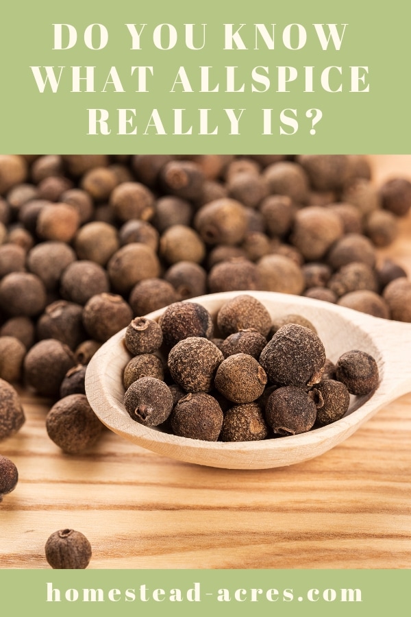 What Is Allspice And How To Make A Substitute Homestead Acres