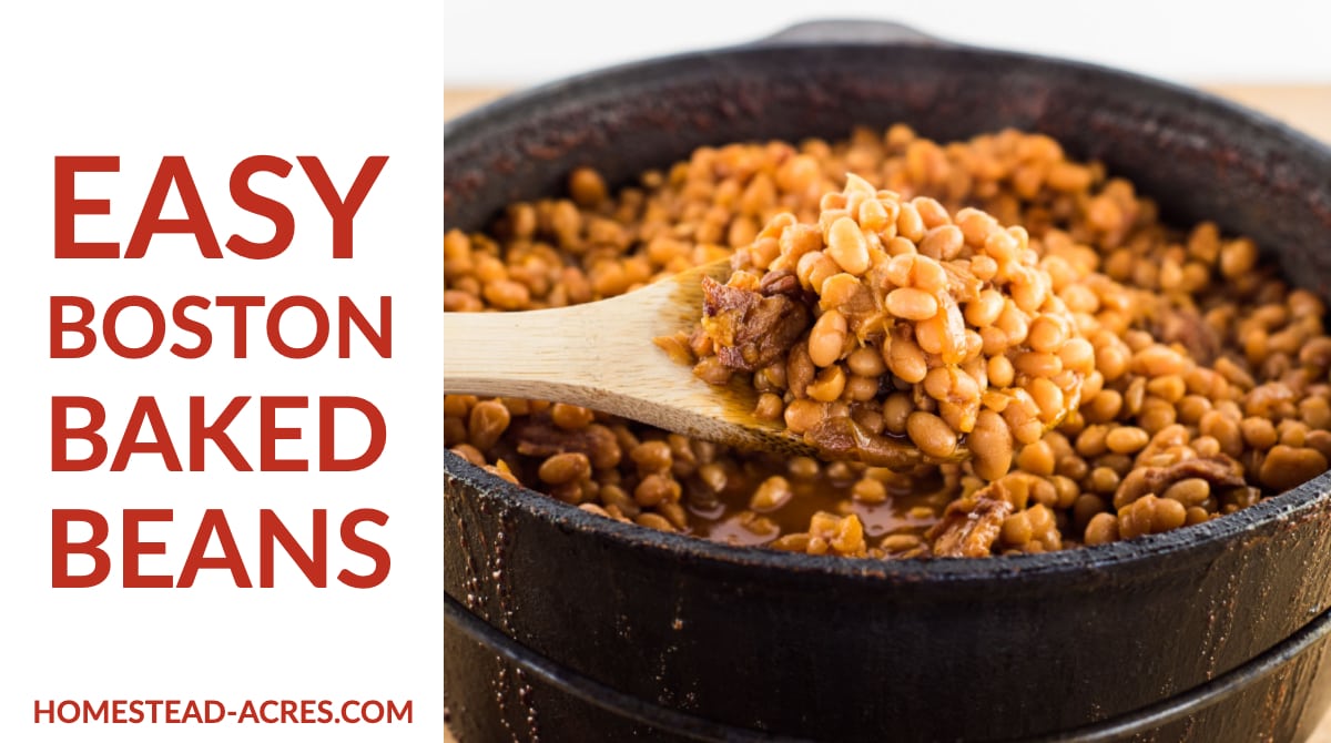 The Best Boston Baked Beans Homestead Acres