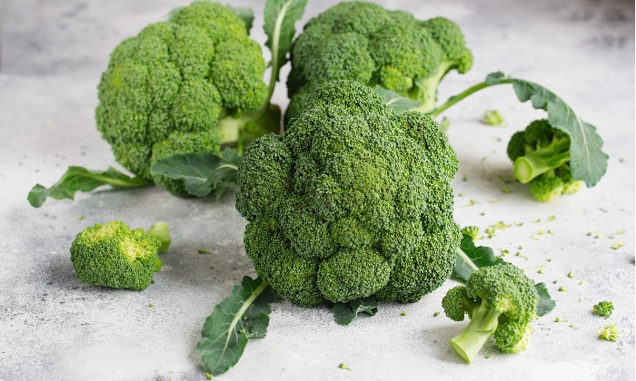 Freshly harvested broccoli crowns