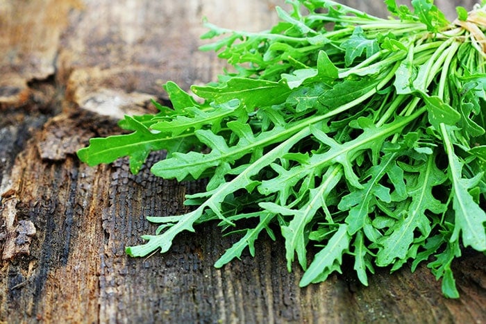Freshly harvested arugula.