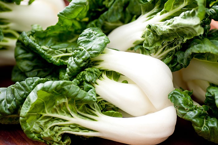 Freshly harvested bok choy plants.