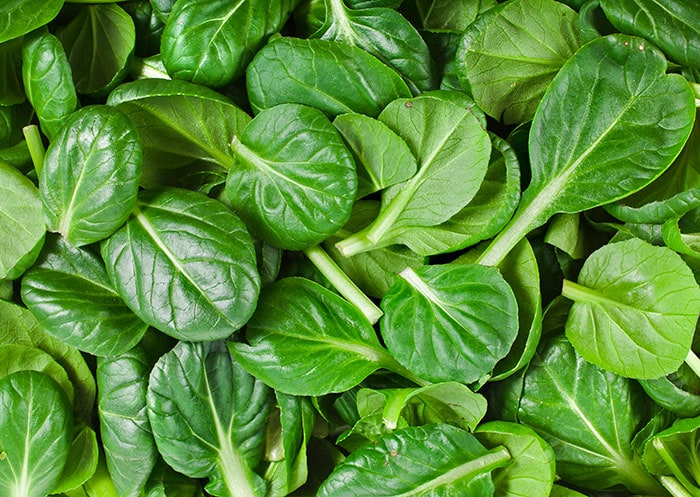 Baby bok choy leaves are a perfect substitute for spinach.