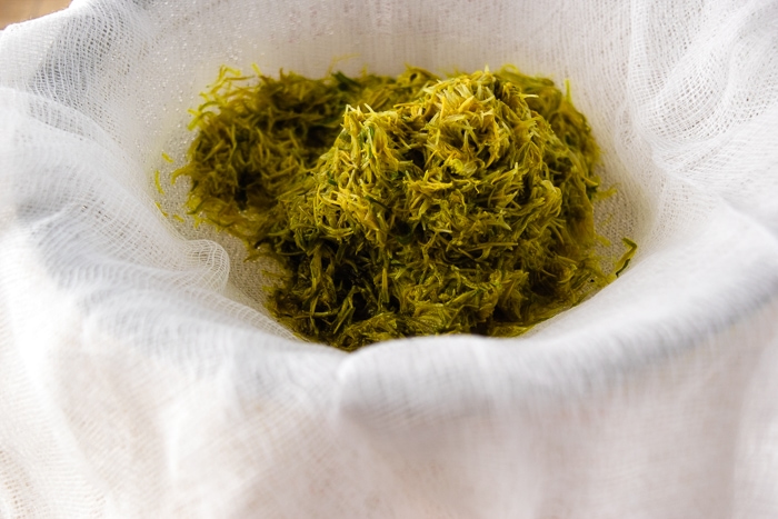 Steeped dandelion flowers sitting in a strainer lined with cheesecloth.